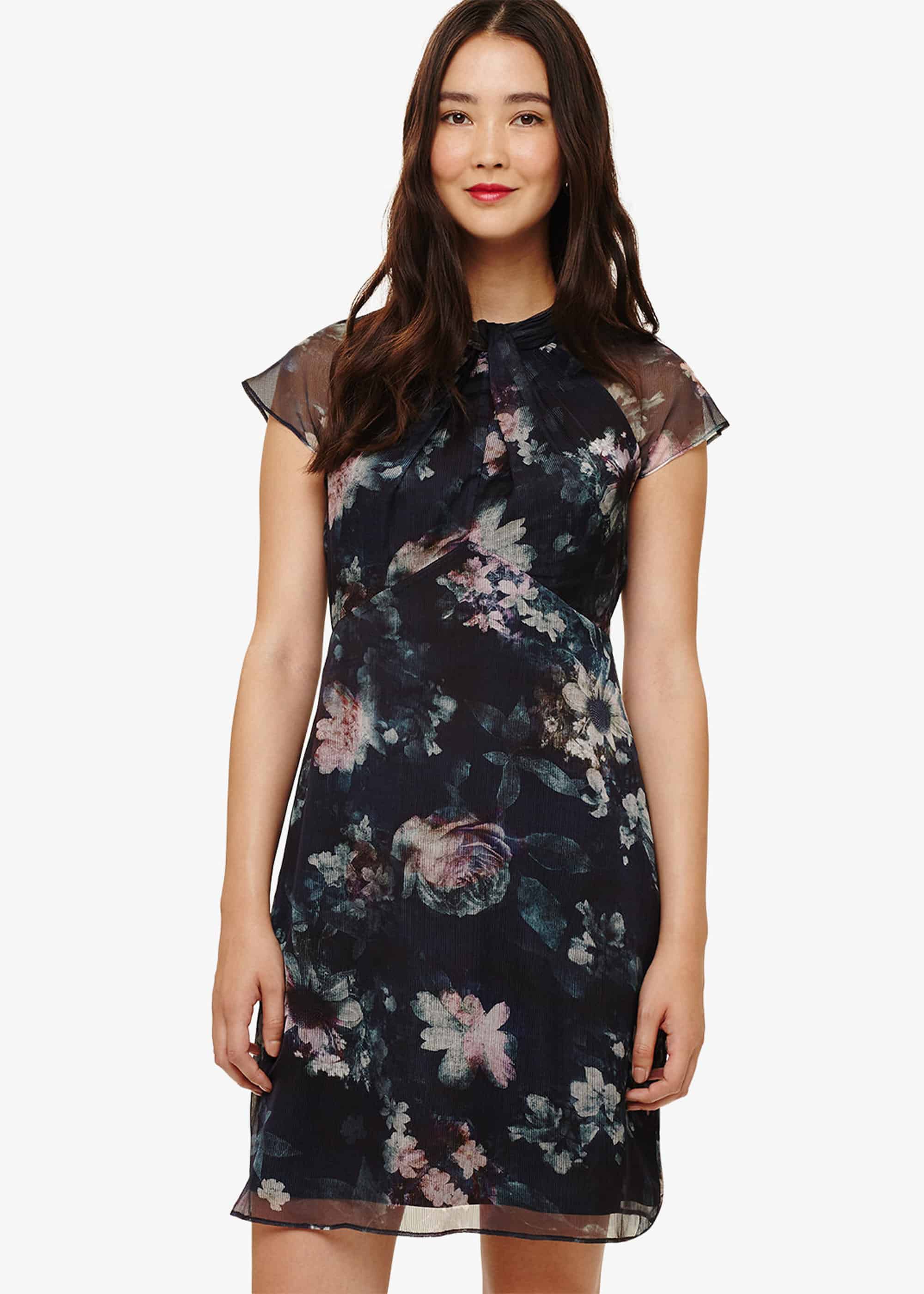 Imogen Floral Dress | Phase Eight